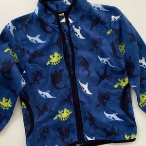 Toddler Polar Boys Fleece Jacket